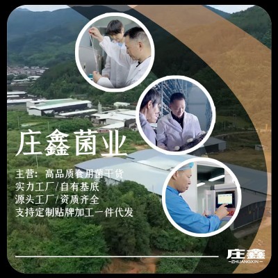 茶树菇500g古田24年新货原产地厂家直销山珍干货食用菌批发散装 1包图3