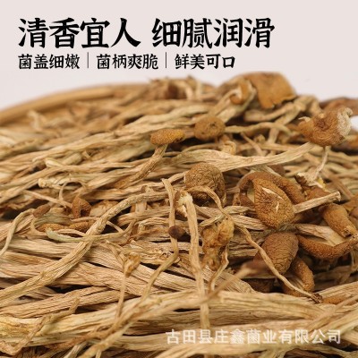 茶树菇500g古田24年新货原产地厂家直销山珍干货食用菌批发散装 1包图2