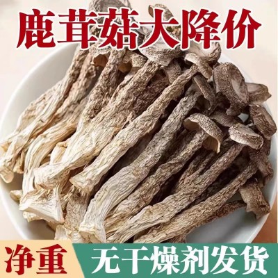 古田鹿茸菇250克 食用菌干货散装批发鹿茸菌云南特产餐饮煲汤食材 12袋