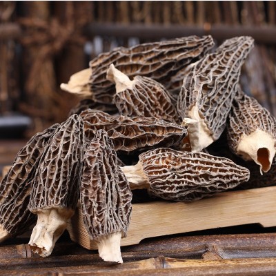 新货羊肚菌6公分以上 250g袋装羊肚菌货源场地直供一手货源厂家 2袋