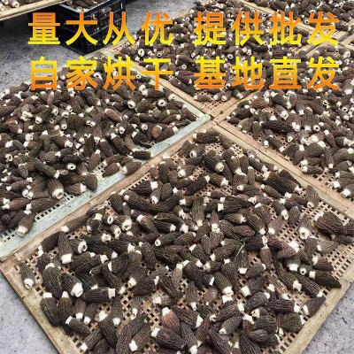 新货羊肚菌6公分以上 250g袋装羊肚菌货源场地直供一手货源厂家 2袋图4