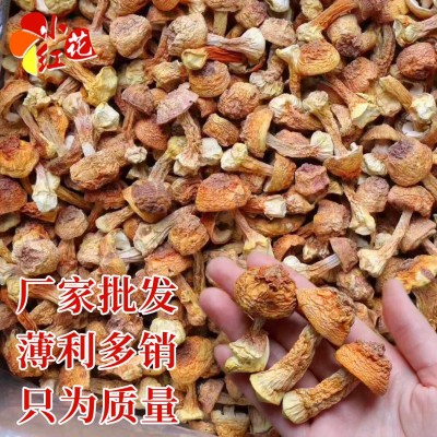 巴西菇干货500g姬松茸 姬松茸剪脚菌汤包炖汤原料松茸菌厂家批发 1件