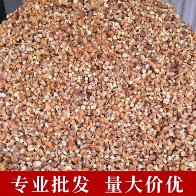 巴西菇干货500g姬松茸 姬松茸剪脚菌汤包炖汤原料松茸菌厂家批发 1件图2