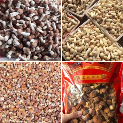 巴西菇干货500g姬松茸 姬松茸剪脚菌汤包炖汤原料松茸菌厂家批发 1件图4