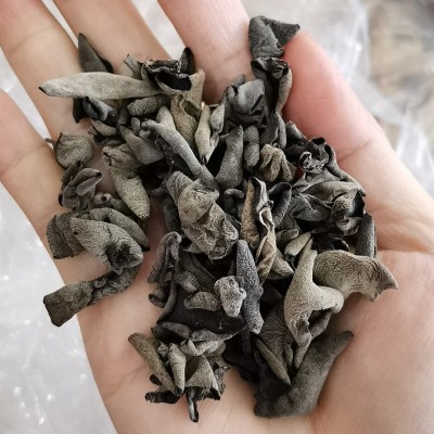 黑木耳东北特产小秋耳精挑黑木耳 小碗耳鼠耳个小肉厚高泡发500g 1件图2