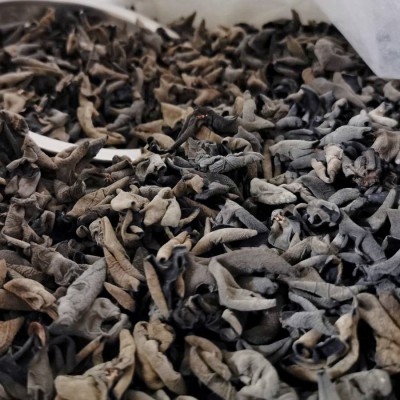 黑木耳东北特产小秋耳精挑黑木耳 小碗耳鼠耳个小肉厚高泡发500g 1件