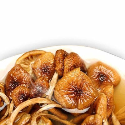 福建古田茶树干货散装批发农产品不开伞茶树菇 厂家产地直发 1件图5