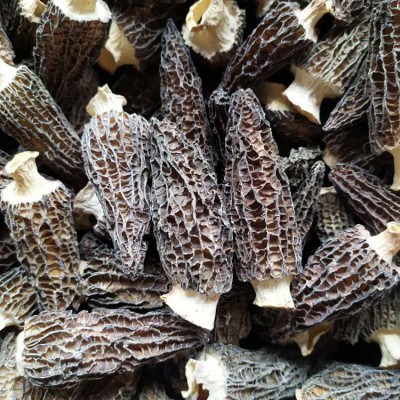 2025年云南挑选头茬剪柄羊肚菌干货肉厚干净5-7cm100g装菌菇 1装图2