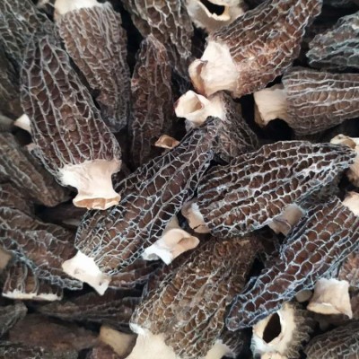 2025年云南挑选头茬剪柄羊肚菌干货肉厚干净5-7cm100g装菌菇 1装图5