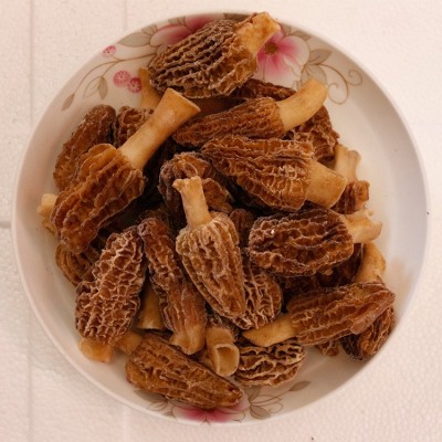 2025年云南速冻羊肚菌特产食用菌新鲜菇滋补鲜冻营养 5KG图2