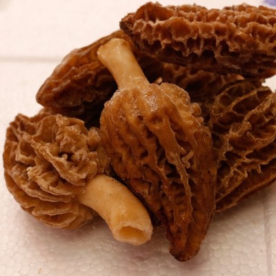 2025年云南速冻羊肚菌特产食用菌新鲜菇滋补鲜冻营养 5KG图4