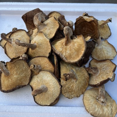 优质椴木香菇干货特级菌类干货产地直发云南特产冬菇香菇干菌菇干 1件图3