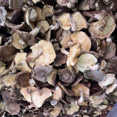 优质椴木香菇干货特级菌类干货产地直发云南特产冬菇香菇干菌菇干 1件图2