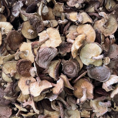 优质椴木香菇干货特级菌类干货产地直发云南特产冬菇香菇干菌菇干 1件图4