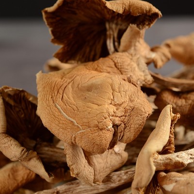 茶树菇 福建 古田食用菌 干货 开伞茶树菇500g 福建菌菇批发 5件图3