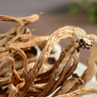 茶树菇 福建 古田食用菌 干货 开伞茶树菇500g 福建菌菇批发 5件图4