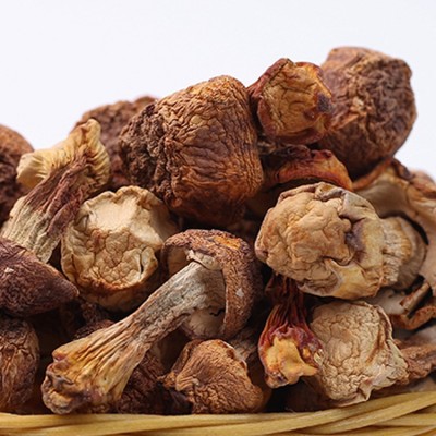 福建古田松茸干 姬松茸散装干货500g 食用菌菇厂家批发 2件图3