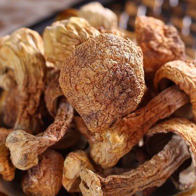 福建古田松茸干 姬松茸散装干货500g 食用菌菇厂家批发 2件图4