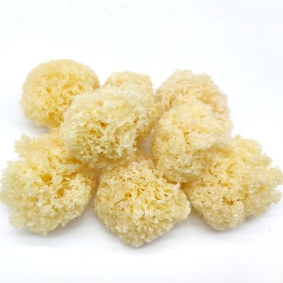 仿椴木小银耳干货秋沐新货糯耳羹出胶雪耳古田干货白木耳银耳批发 1斤图4