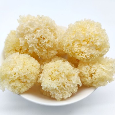 仿椴木小银耳干货秋沐新货糯耳羹出胶雪耳古田干货白木耳银耳批发 1斤