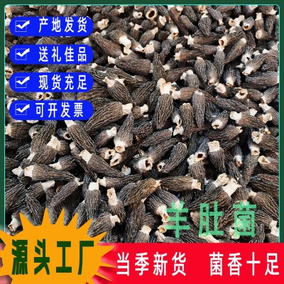 精选羊肚菌干货秋木菌菇头茬短脚食用薄皮羊肚菌干货菌菇工厂批发 1斤