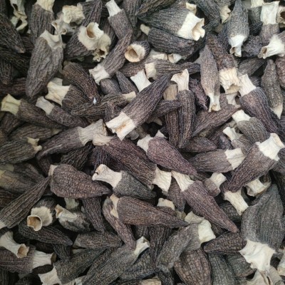 精选羊肚菌干货秋木菌菇头茬短脚食用薄皮羊肚菌干货菌菇工厂批发 1斤图2