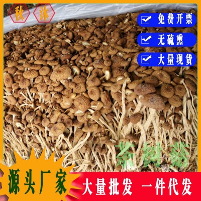 茶树菇干货冰菇不开伞开伞散装批发茶薪菇菌菇特产煲汤食材特级 1斤