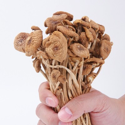 茶树菇干货冰菇不开伞开伞散装批发茶薪菇菌菇特产煲汤食材特级 1斤图3