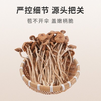 茶树菇干货冰菇不开伞开伞散装批发茶薪菇菌菇特产煲汤食材特级 1斤图4