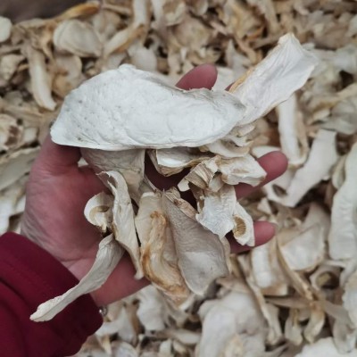 云南姬松茸干片批发球盖菇干货煲汤食用菌人工挑选好品质量大价优 1千克图4