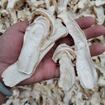 云南姬松茸干片批发球盖菇干货煲汤食用菌人工挑选好品质量大价优 1千克图2