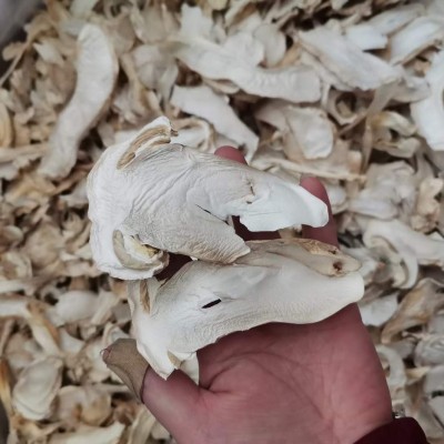 云南姬松茸干片批发球盖菇干货煲汤食用菌人工挑选好品质量大价优 1千克图3