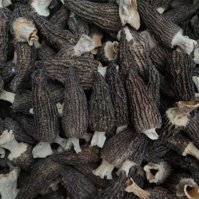 云南羊肚菌干货批发菌菇干货煲汤好品质伴手礼肉厚嫩朵量大价优 1件图3