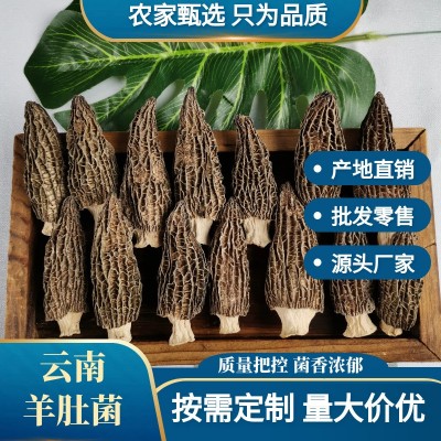 云南羊肚菌干货批发菌菇干货煲汤好品质伴手礼肉厚嫩朵量大价优 1件