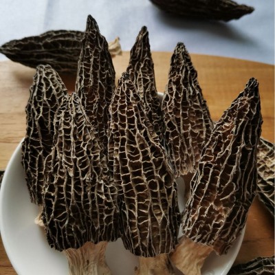 云南羊肚菌干货批发菌菇干货煲汤好品质伴手礼肉厚嫩朵量大价优 1件图4