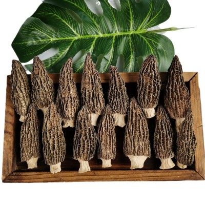 云南羊肚菌干货批发菌菇干货煲汤好品质伴手礼肉厚嫩朵量大价优 1件图5