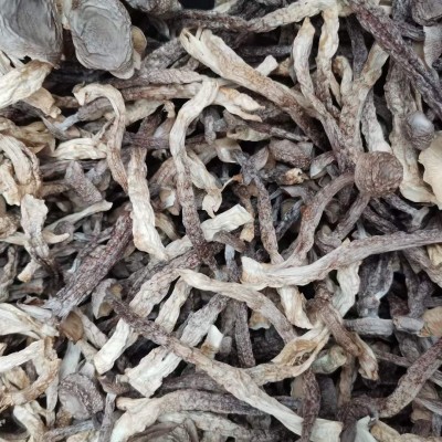云南鹿茸菇干货批发包邮云南特产脆脆菇煲汤食用菌一手货源 1千克图3