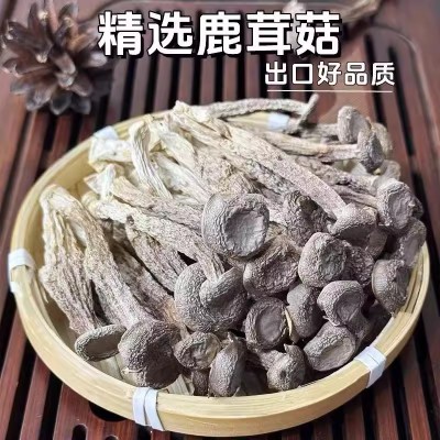 楷美鹿茸菇干货鹿茸菌非特级野生脆脆菇干煲汤云南菌子代发批发 2斤图2