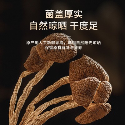新货高山茶树菇干货无硫香菇煲汤食材商用不开伞散装大袋批发菌菇 1斤图2