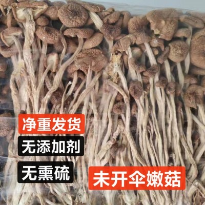 新货高山茶树菇干货无硫香菇煲汤食材商用不开伞散装大袋批发菌菇 1斤