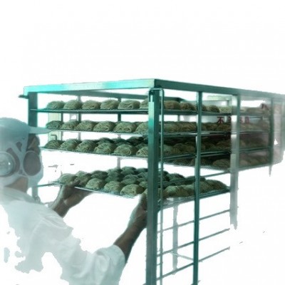 来来 手工虾子面1200g广东特色非油炸港式虾籽细面拌面捞面汤面 1件图5