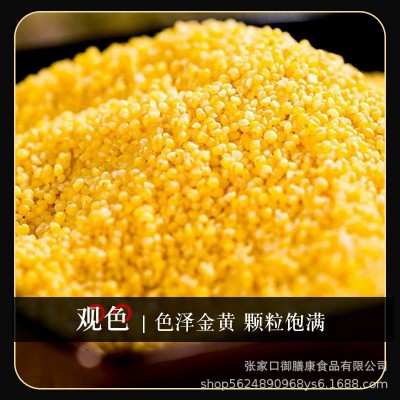 2024新米张家口蔚县农家黄小米25kg散装批发杂粮煮粥非东北黄金苗 1件图3