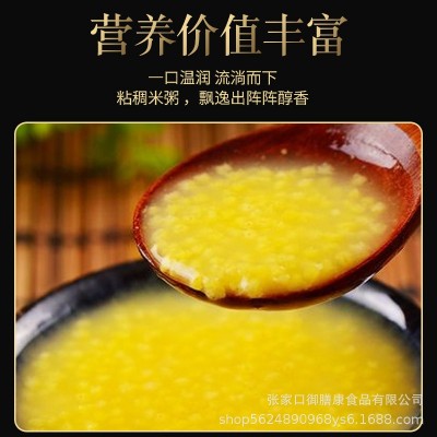 2024新米张家口蔚县农家黄小米25kg散装批发杂粮煮粥非东北黄金苗 1件图2