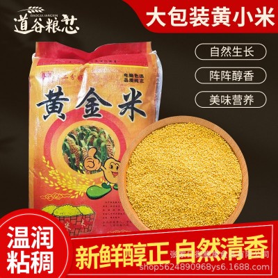 2024新米张家口蔚县农家黄小米25kg散装批发杂粮煮粥非东北黄金苗 1件图5