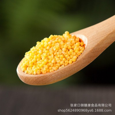 2024新米张家口蔚县农家黄小米25kg散装批发杂粮煮粥非东北黄金苗 1件图4