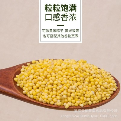 2019年新东北特产大黄米黍子米散装25kg农家粘软黄米糜子黄江米 1件图3