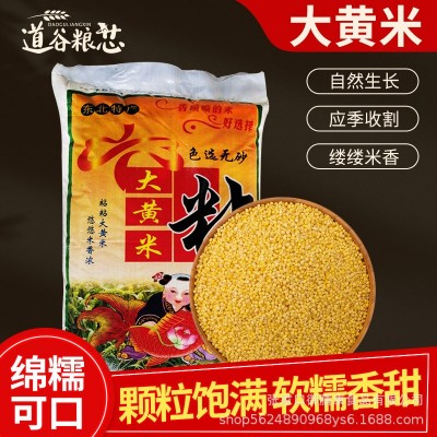 2019年新东北特产大黄米黍子米散装25kg农家粘软黄米糜子黄江米 1件