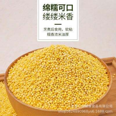 2019年新东北特产大黄米黍子米散装25kg农家粘软黄米糜子黄江米 1件图2