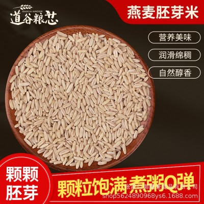张家口燕麦胚芽米裸去皮去芒可真空燕麦米25kg五谷杂粮粮食批发 2件