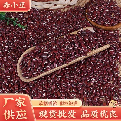 现货批发精选赤小豆50斤装粗粮颗粒饱满五谷杂粮长粒红豆高蛋白 1件图3